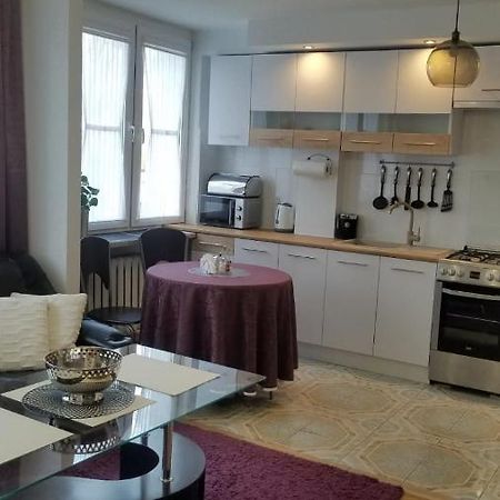 Apartament Zamosc Fiolet 외부 사진