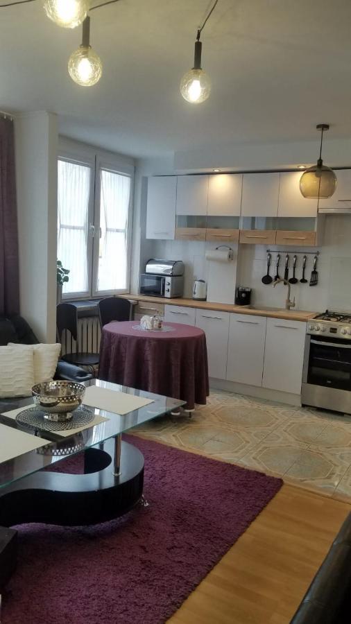 Apartament Zamosc Fiolet 외부 사진